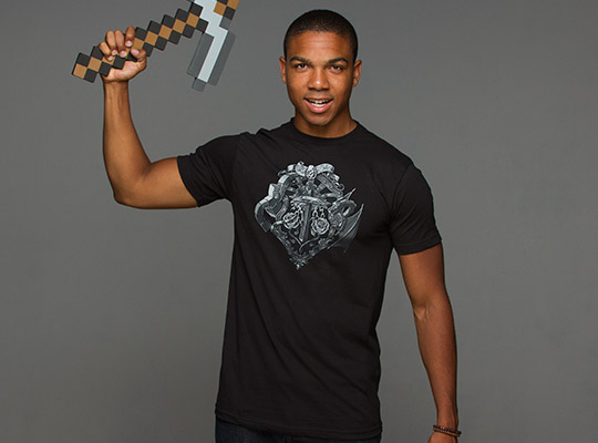 Minecraft Heroes Crest Premium T-shirt