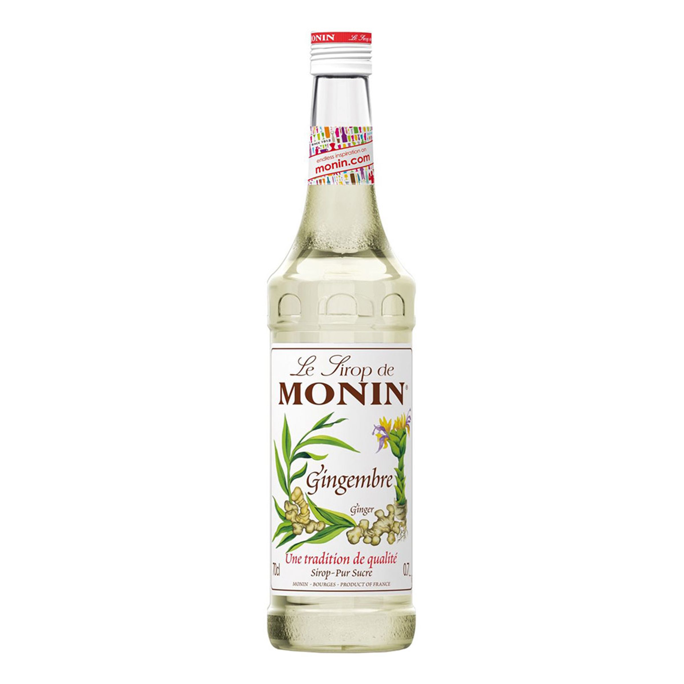 Monin Ginger Syrup - 70 cl